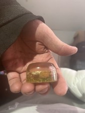 Resin Paperweight With A Crab