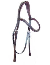 Anatomical Headpiece FSS