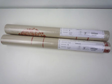 NEXT WALLPAPER DANDELION