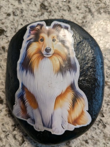 Decorative dog painted rock - decorative,