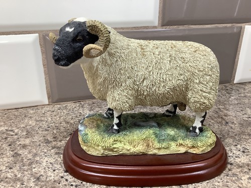 Border fine arts blackface - border, ram