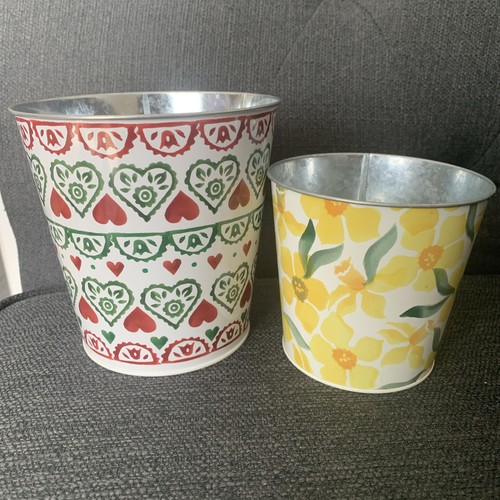 Emma bridgewater plant - emma,