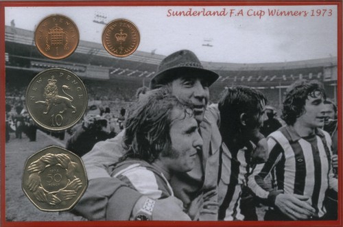 Sunderland vintage cup - fa,