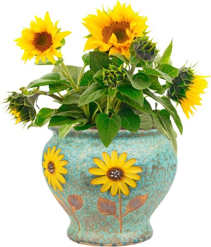 Ceramic hand painted succulent - ceramic,