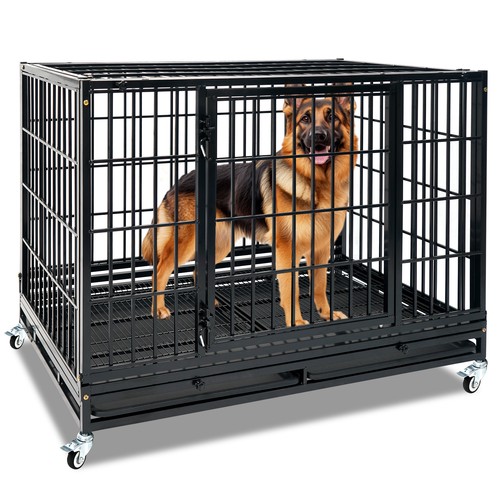 Collapsible heavy duty dog - collapsible,