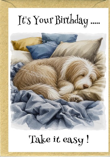 Bearded collie dog beardie - collie,