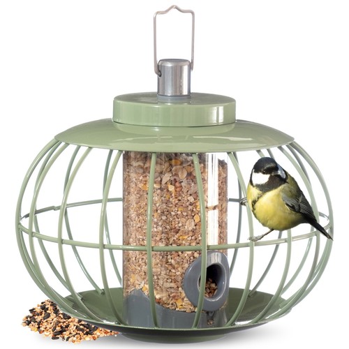 Squirrel proof seed - proof, –