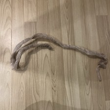 Milk Snake Shed Skin 4 foot
