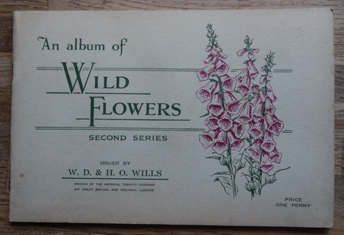 Wild flowers 1936 empty - empty, &