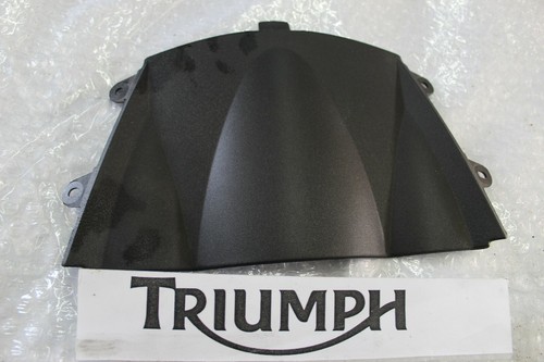 Triumph sprint 1050 front - triumph,