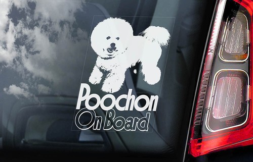 Poochon car sticker bichon - car, sticker,