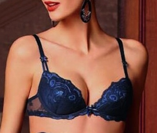 Lise charmel navy blue - lise,