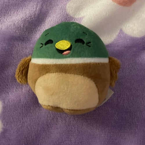 Avery the squishmallow - avery,