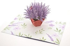 Happy Birthday Pop-Up Card –