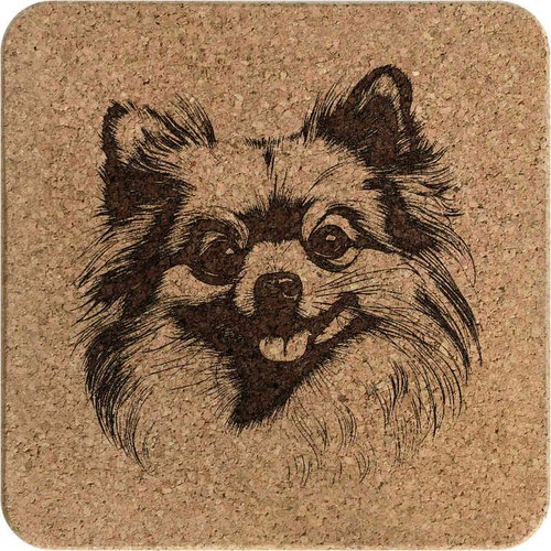 Pomeranian dog square - 'pomeranian,