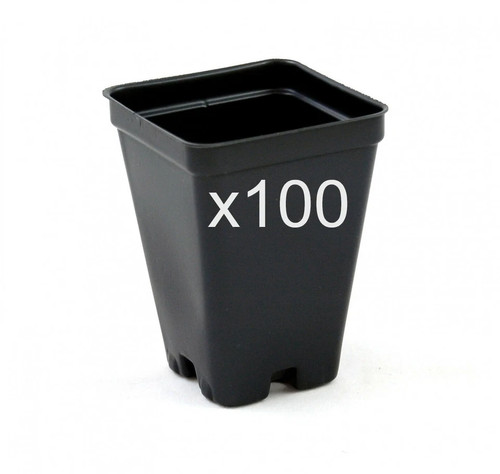 Black form plastic plant - plastic,