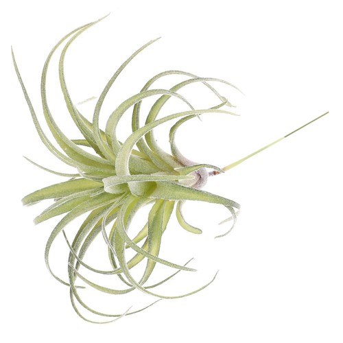 Artificial flower home decor - home,