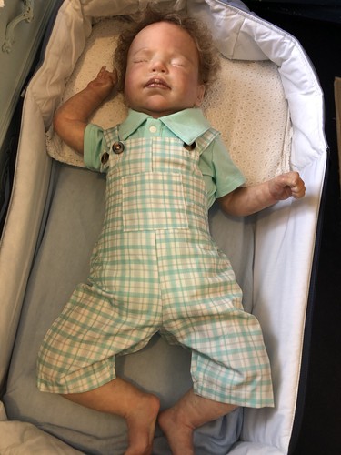 Gorgeous reborn doll with - doll,