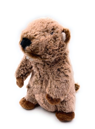 Plush toy stuffed animal - stuffed,