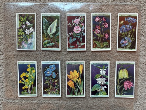 Wills wild flowers - wills,, series