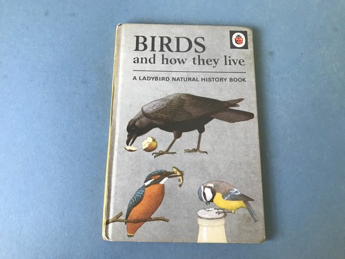 Birds and how the live - ,
