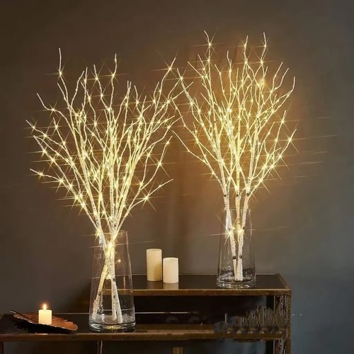 Evergreen flexible birch - evergreen,