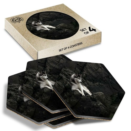 Hexagon coasters - hexagon,