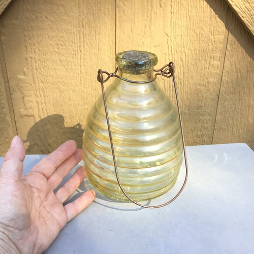 Glass wasp trap beehive - glass,