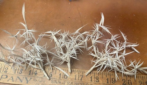 Vintage 1930s feather bird - vintage,