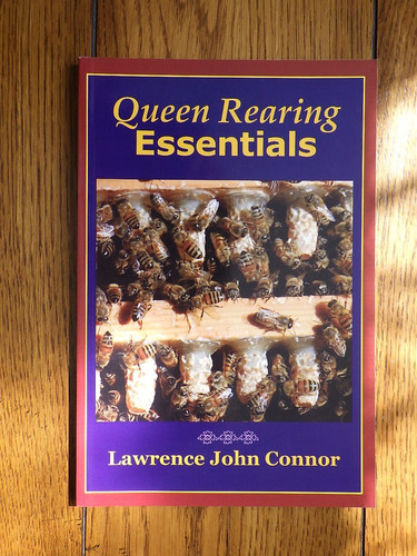 Queen rearing essentials - queen,