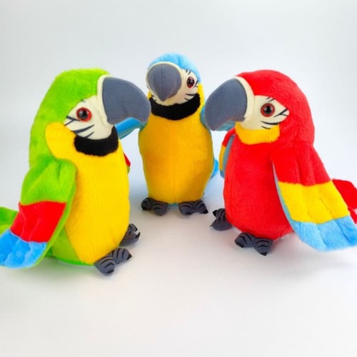 Repeat parrot imitates fun - imitates,