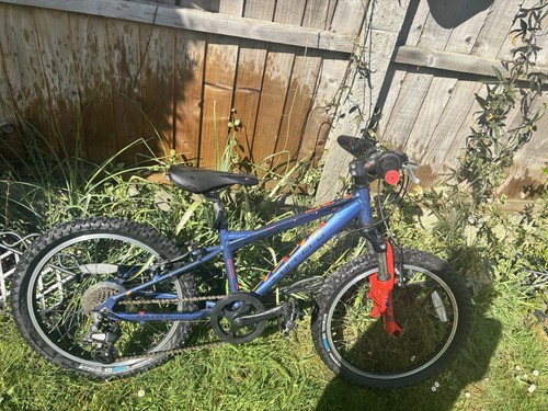 Carrera junior mountain bike - mountain,