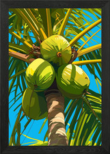 Coconut Palm Tree with