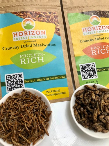Edible insects crickets