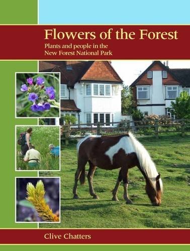 Flowers the forest plants - flowers, forest: