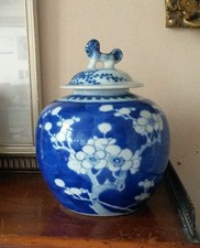 Chinese Blue Porcelain Prunus