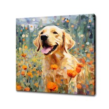 Labrador retriever dog - labrador,