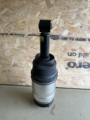Air suspension strut for land - strut,