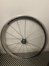 Campagnolo Shamal Rear Track