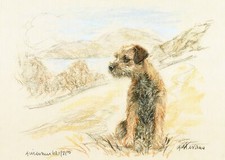 Border Terrier Dog Print