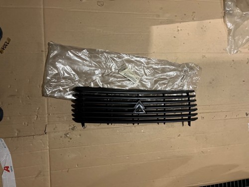 Citroen visa dal grille - visa,