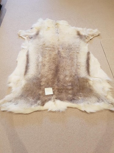 Reindeer skin rug - reindeer, premium