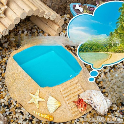 Hermit crab water bowl with - bowl,