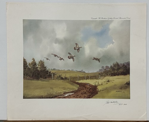 Ltd edt print - edt, 257/300