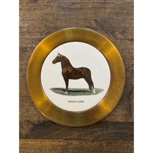 Vintage morgan horse solid - vintage,