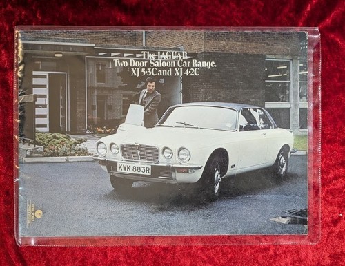 The jaguar two - the,