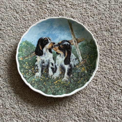 Royal albert collectible plate - collectible,