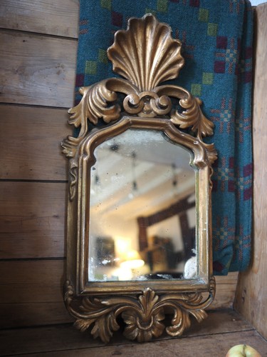 Fabulous antique shell - a,