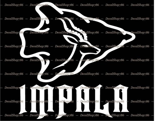 Impala arrowhead - in,