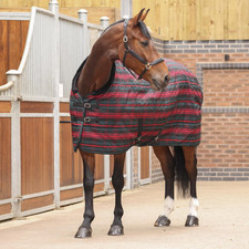 Shires Tempest Plus 200g